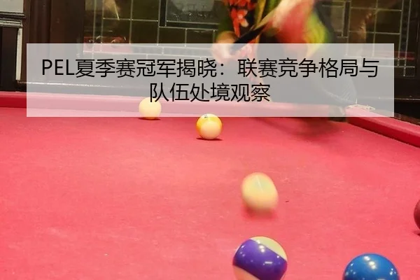 PEL夏季赛冠军揭晓：联赛竞争格局与队伍处境观察
